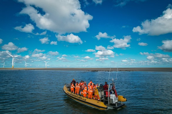 Seal Watching Tour - Adult